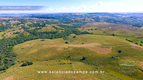 Gilberto Monteiro - Pra ti guria [VDownloader].00_02_20_11.Quadro030_0495cae41c8e5de4f5c76aea080f4c00aa3e090d.jpg